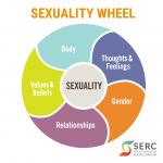 Image with a title that says "Sexuality Wheel" at the top. Below, is a wheel with the word "Sexuality" in the center. Around it are the following words, "Body", "Thoughts & Feelings", "Gender", "Relationships", and "Values & Beliefs". 