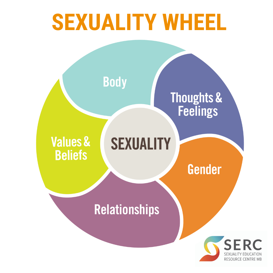 Sexuality Wheel Serc