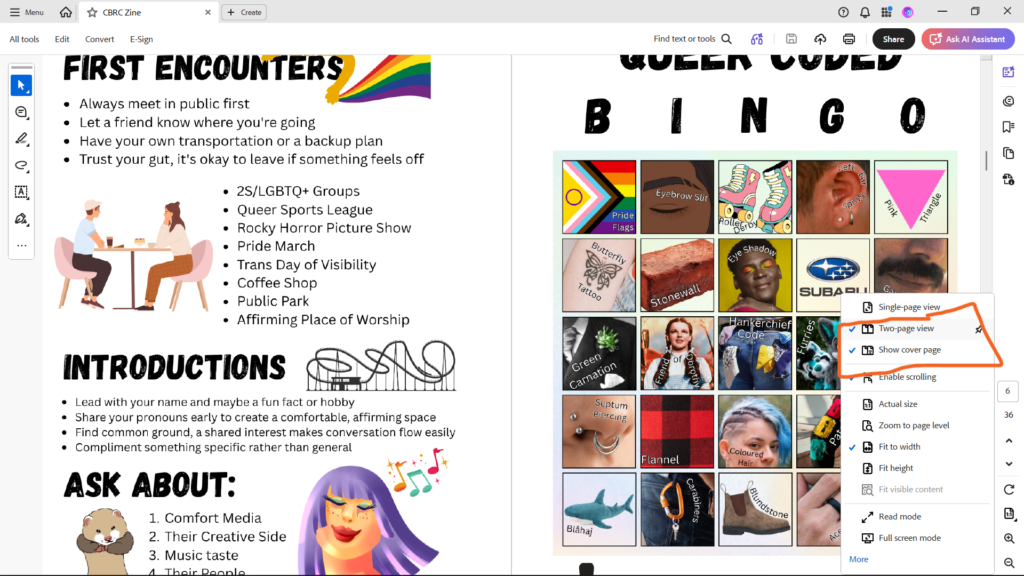 A preview of the zine as shown in Adobe Acrobat, showing "Two-page view," "Show cover page," "Enable scrolling," and "Fit to width" selected.